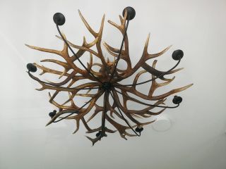 Antler Ceiling lamp