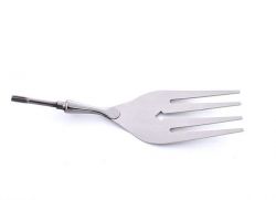 Fish server fork