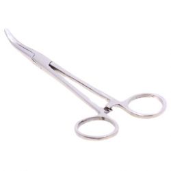 Standard Forceps Curved